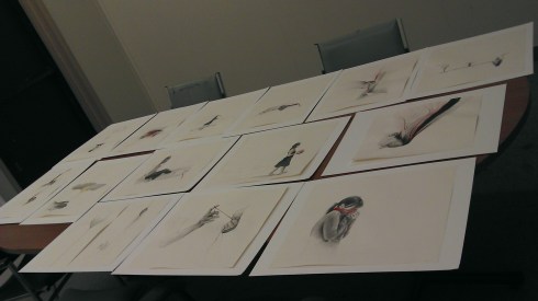 Drawings  by Maya Hum