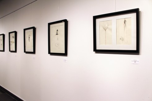 Lines_GalleryShot_05