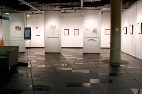 Lines_GalleryShot_09