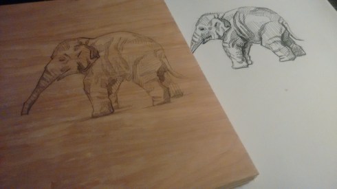 IMG_20151113_180926600