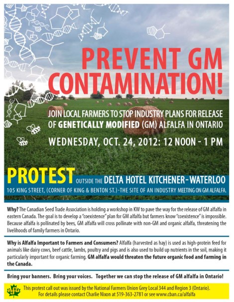 Prevent Genetically Modified Alfalfa Poster - Adobe Photoshop & Illustrator CS5. Client: Canadian Biotechnology Action Network, 2012