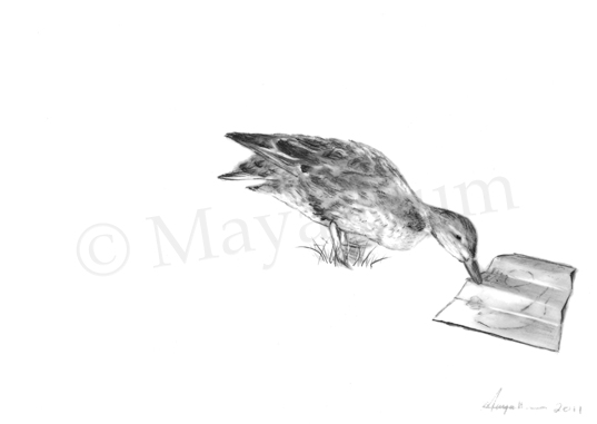 Where to Next? - Graphite and Acrylic on Mylar, 2011 