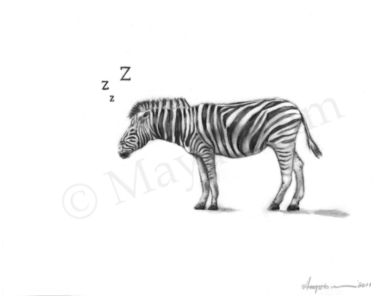 Zleepy Head - Graphite and Acrylic on Mylar, 2011