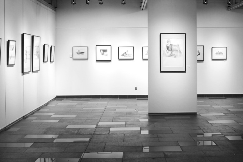 Evoking worlds solo exhibit opening by Maya Hum 2016