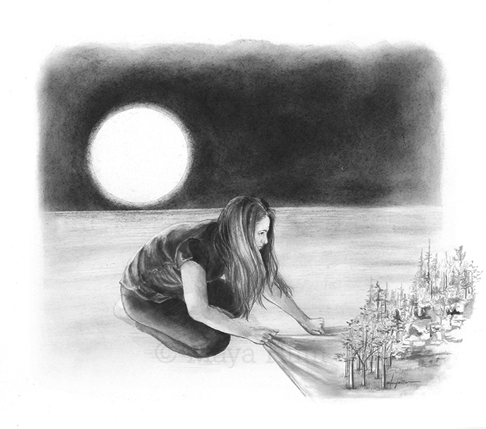 Keep and Preserve by Maya Hum